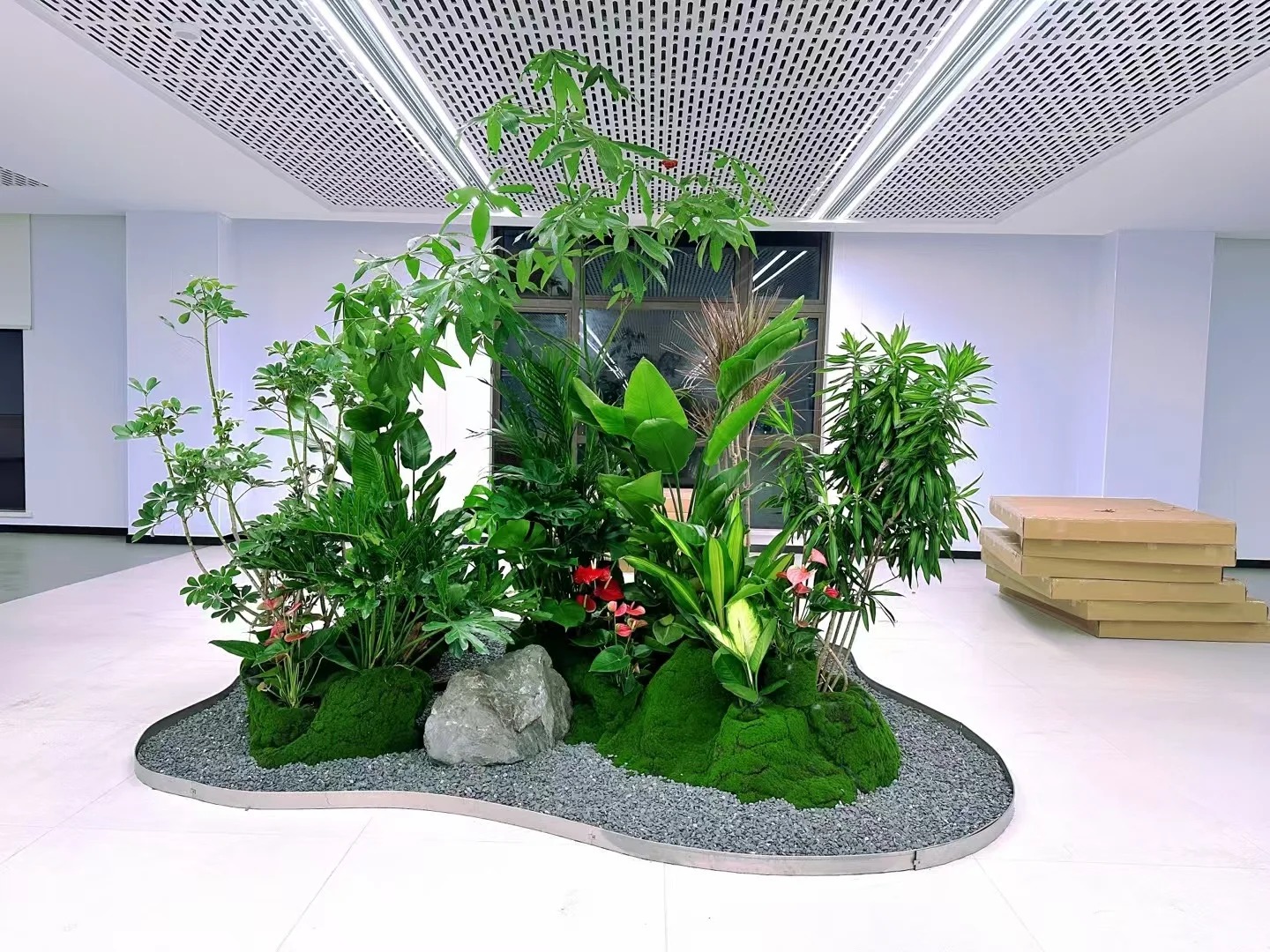 余姚植物租摆专业强，打造专属的绿色风景线！